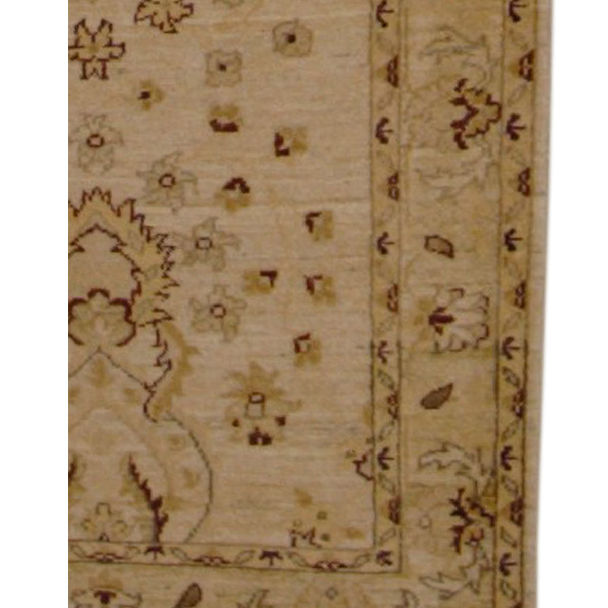 Pacific Ziegler 17349 Ivory Beige Transitional Hand Knotted Rug