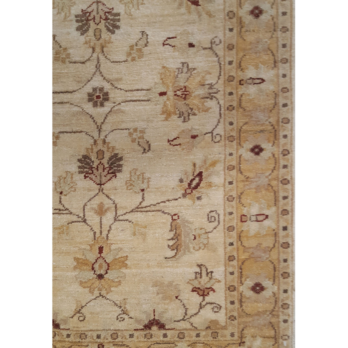 Pacific Ziegler 17350 Ivory Camel Transitional Hand Knotted Rug