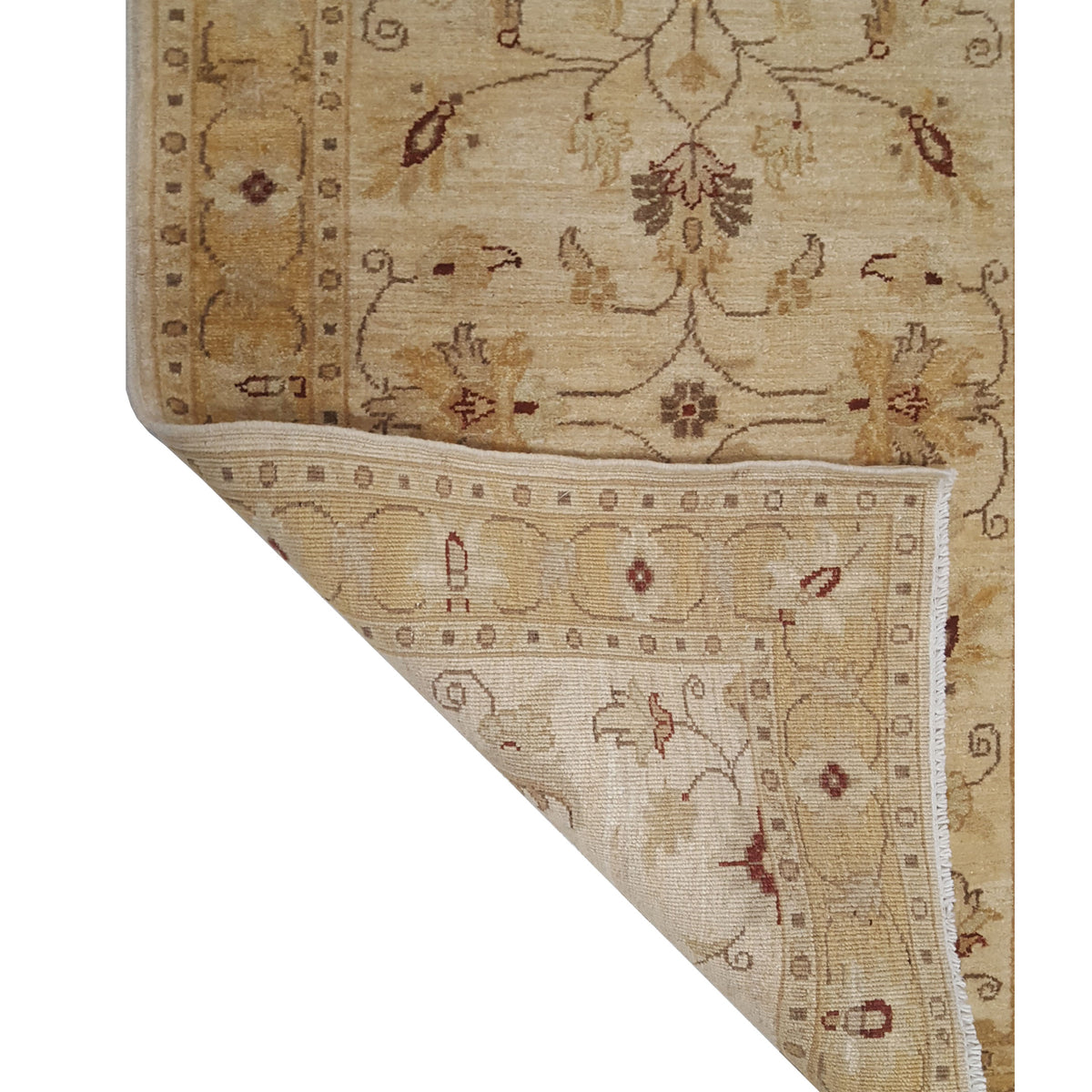 Pacific Ziegler 17350 Ivory Camel Transitional Hand Knotted Rug