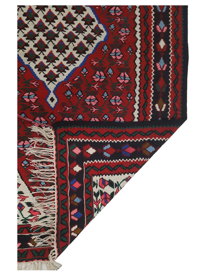 Pacific Summak 17359 Ivory Red Traditional Hand Knotted Rug