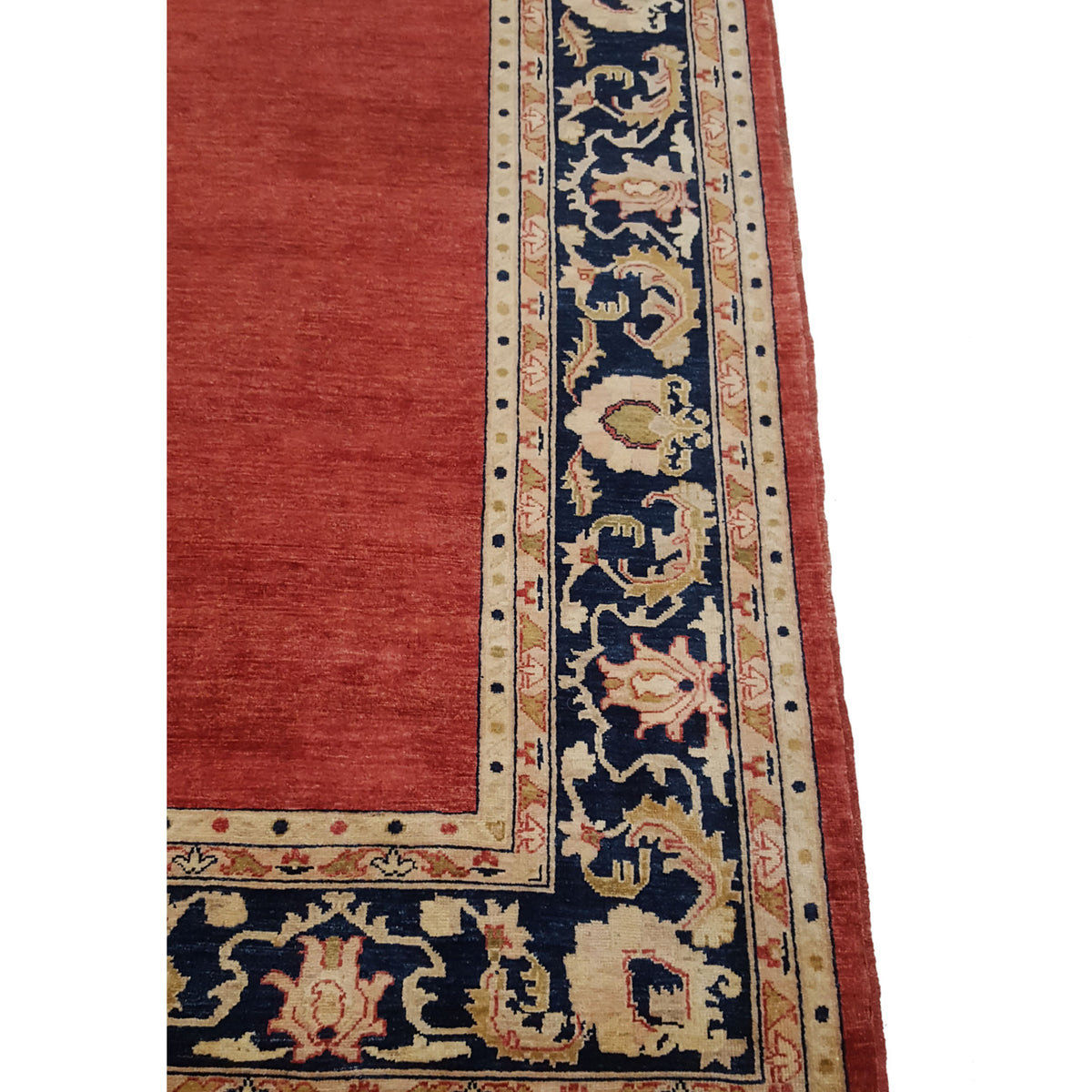 Pacific Ziegler 26694 Red Navy Transitional Hand Knotted Rug