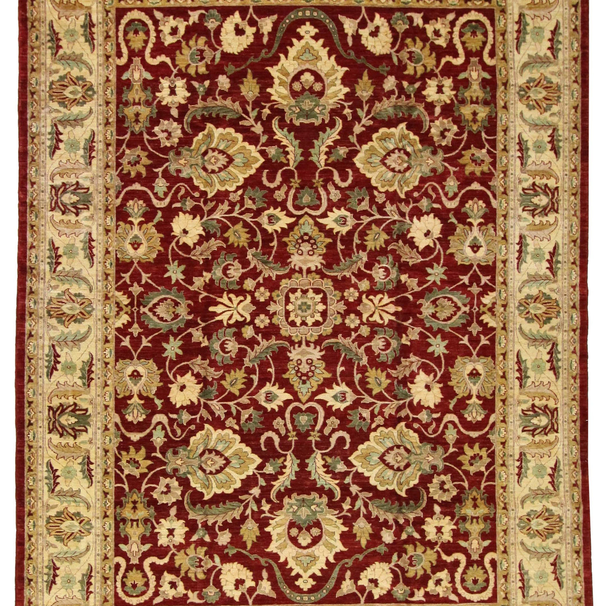Pacific Ziegler  Red Gold Transitional