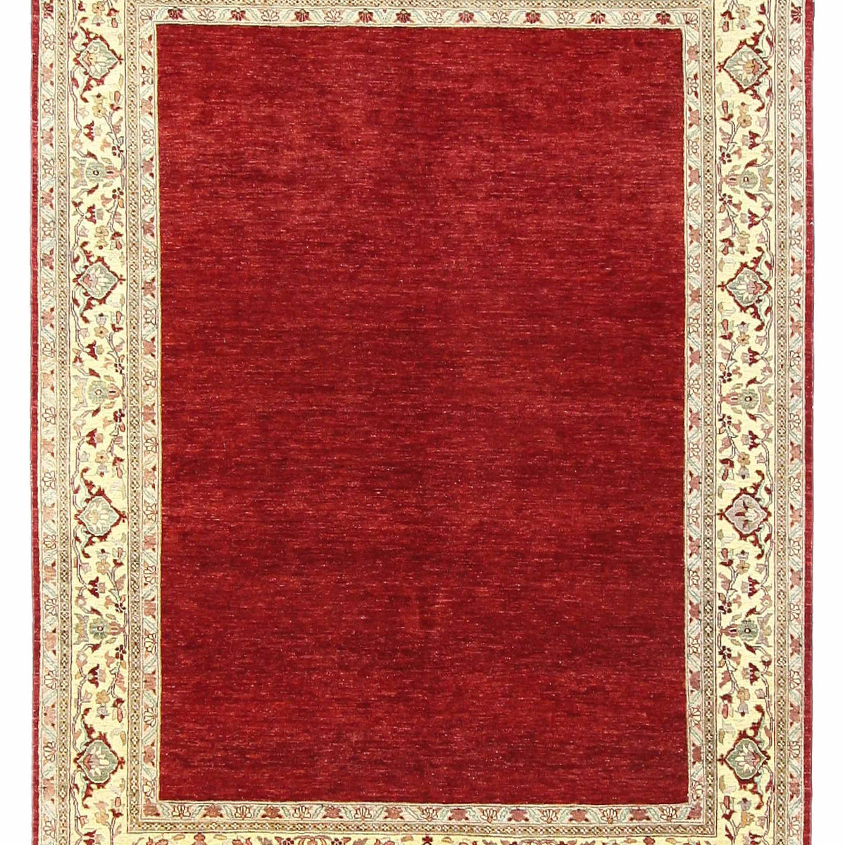 Pacific Ziegler  Red Ivory Transitional