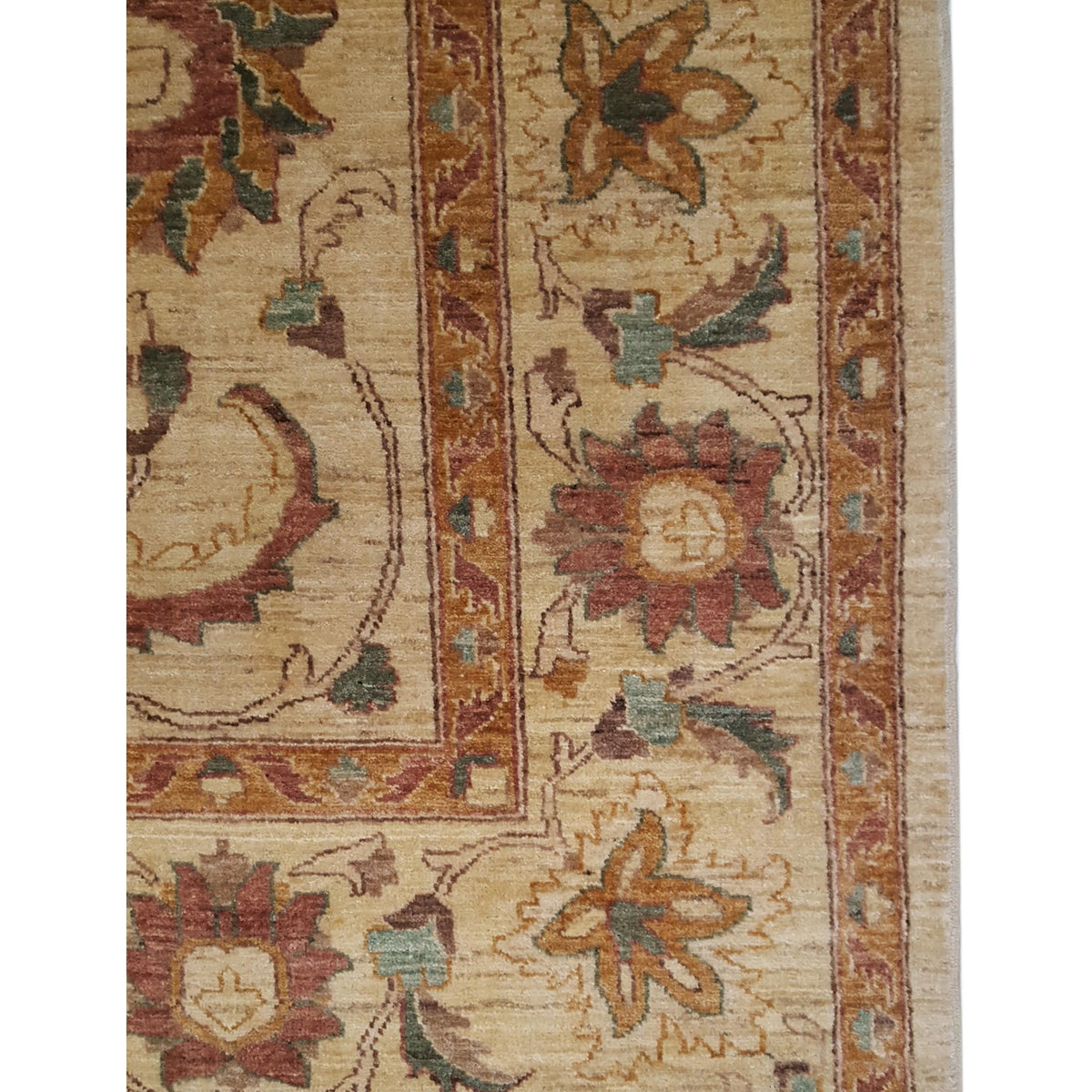 Pacific Ziegler 26926 Ivory Gold Transitional Hand Knotted Rug