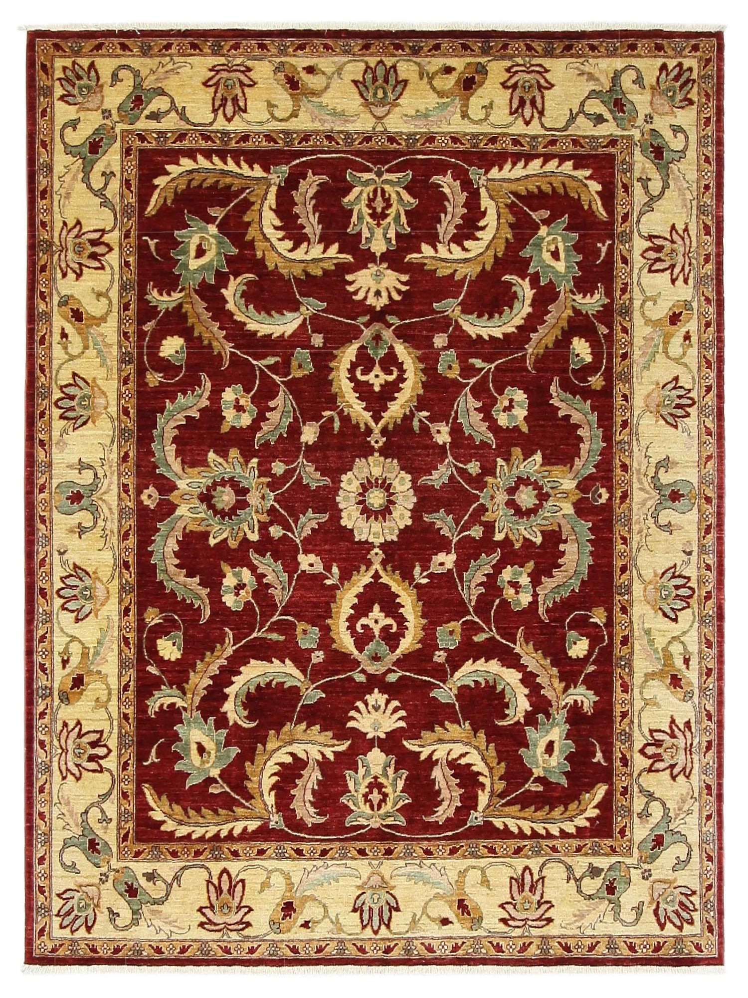 Pacific Ziegler  Red Ivory Transitional