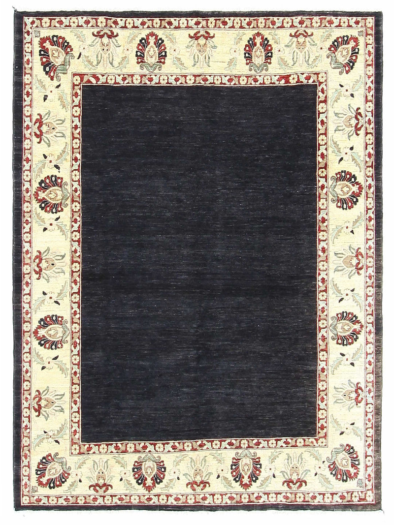 Pacific Ziegler  Black Ivory Transitional