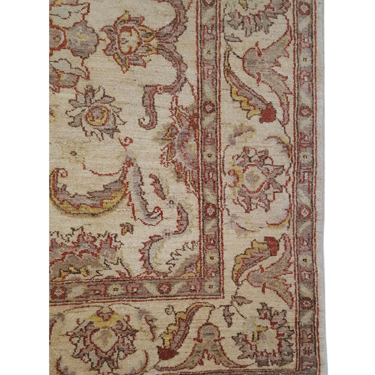 Pacific Ziegler 27523 Ivory Ivory Transitional Hand Knotted Rug