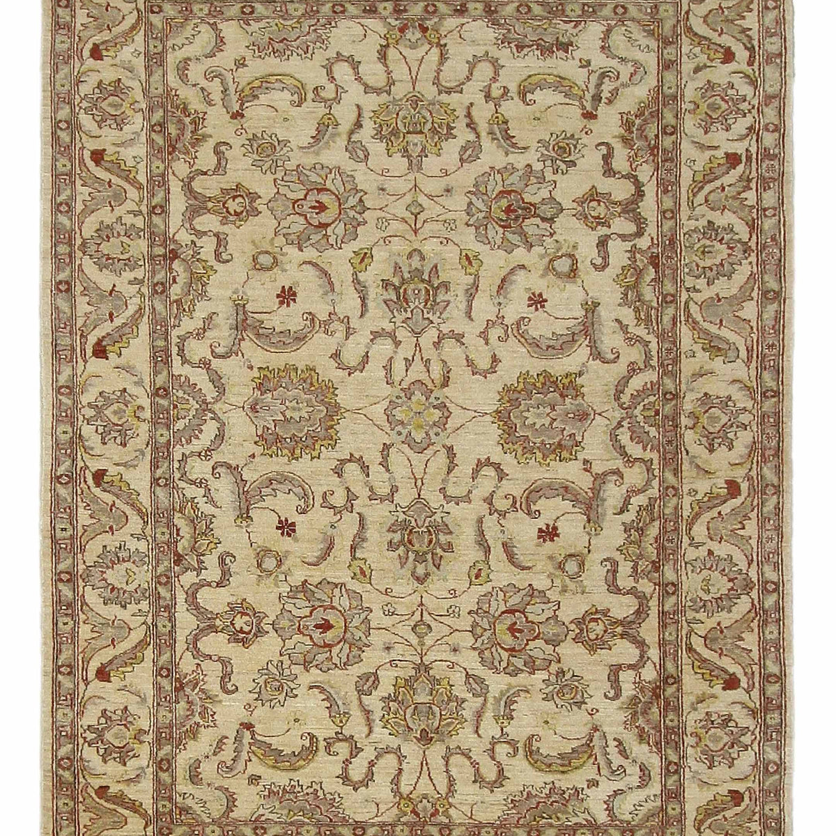 Pacific Ziegler  Ivory Ivory Transitional