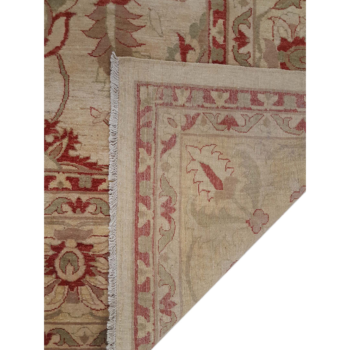 Pacific Ziegler 27532 Ivory Ivory Transitional Hand Knotted Rug