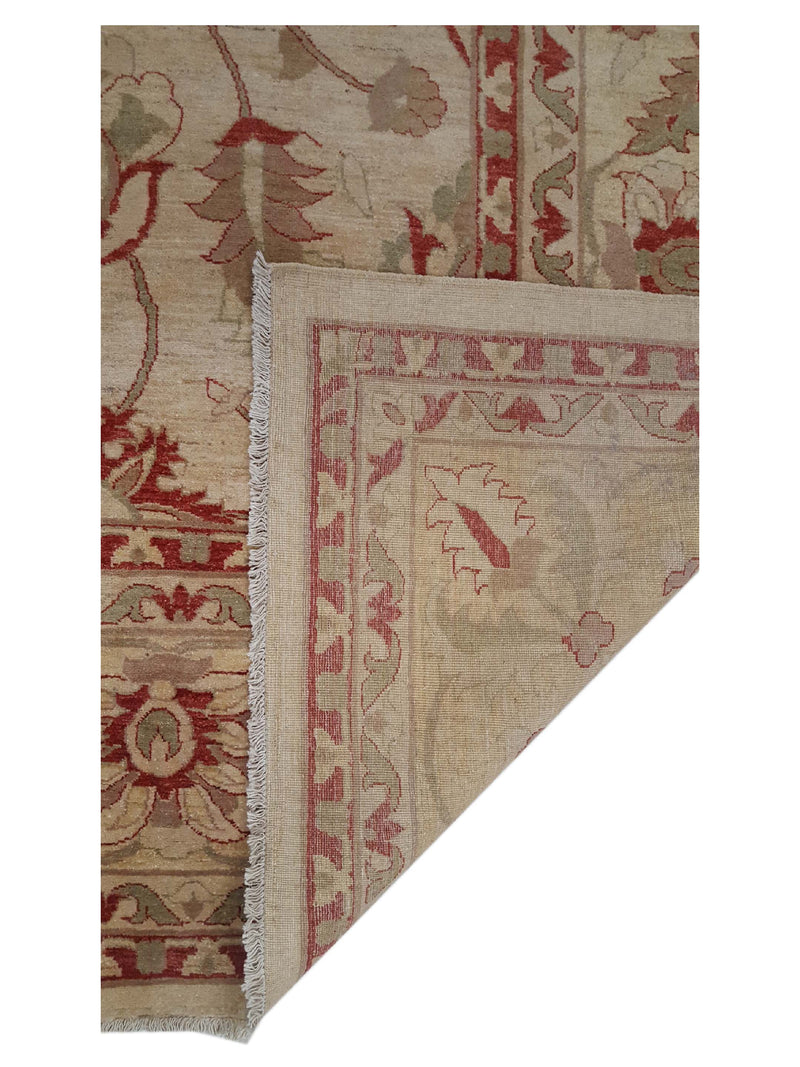 Pacific Ziegler 27532 Ivory Ivory Transitional Hand Knotted Rug