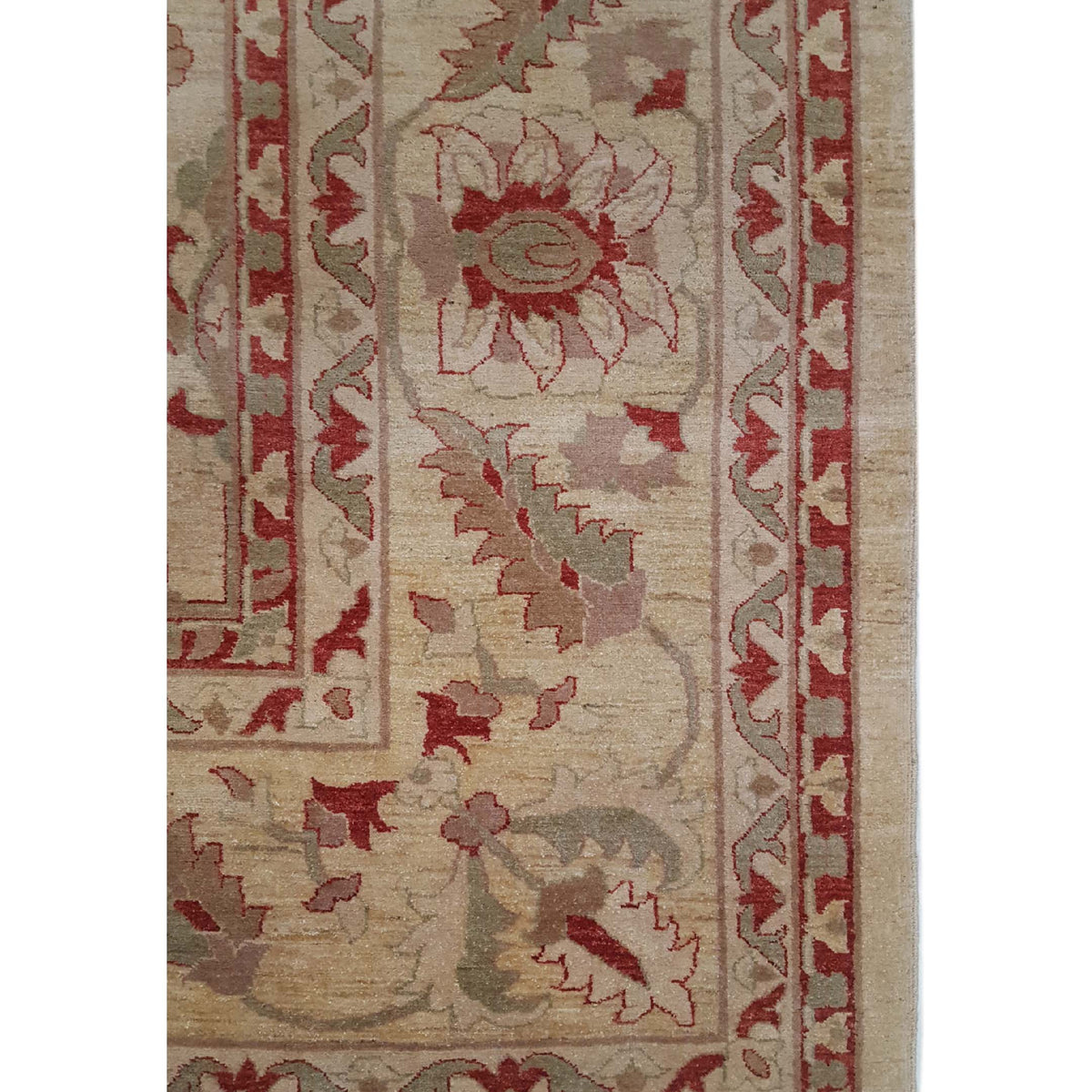 Pacific Ziegler 27532 Ivory Ivory Transitional Hand Knotted Rug