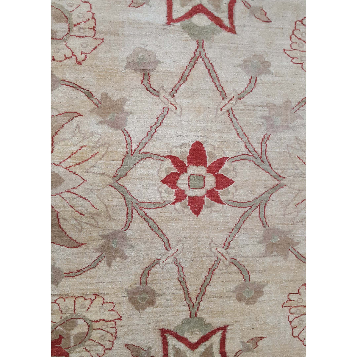 Pacific Ziegler 27532 Ivory Ivory Transitional Hand Knotted Rug
