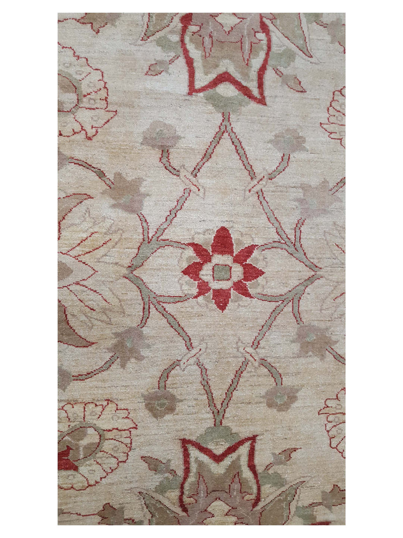 Pacific Ziegler 27532 Ivory Ivory Transitional Hand Knotted Rug