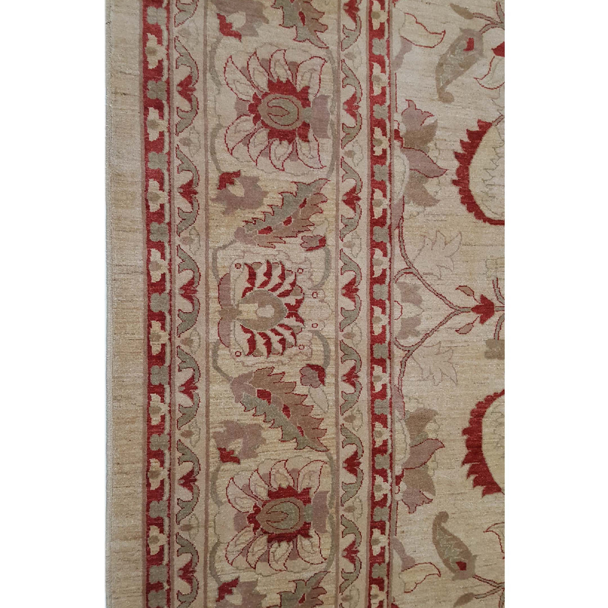 Pacific Ziegler 27532 Ivory Ivory Transitional Hand Knotted Rug