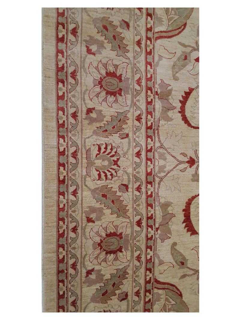 Pacific Ziegler 27532 Ivory Ivory Transitional Hand Knotted Rug