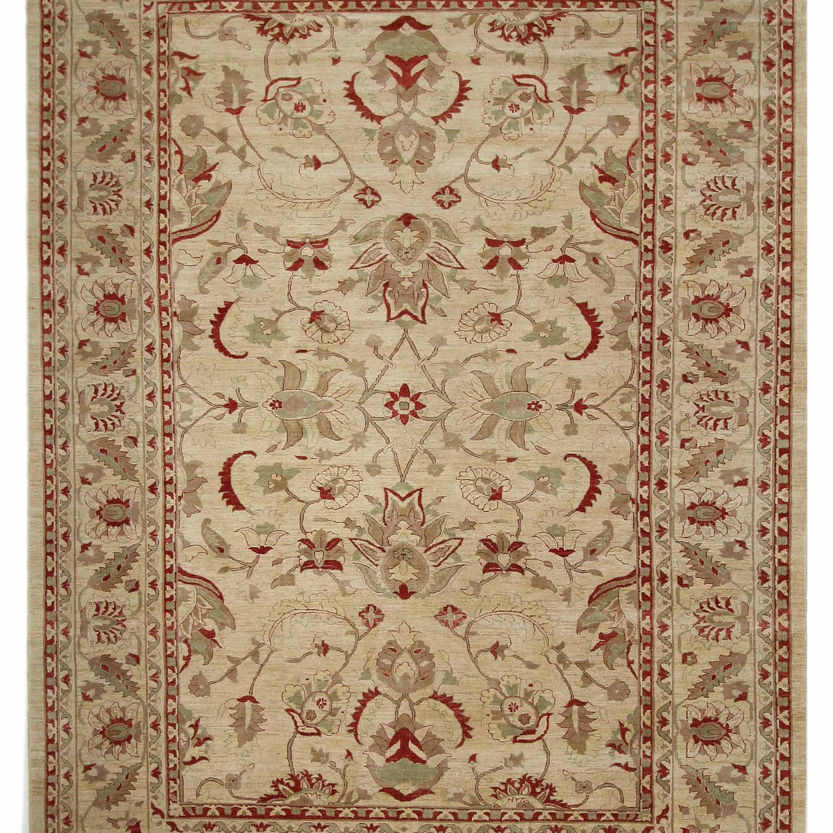 Pacific Ziegler  Ivory Ivory Transitional