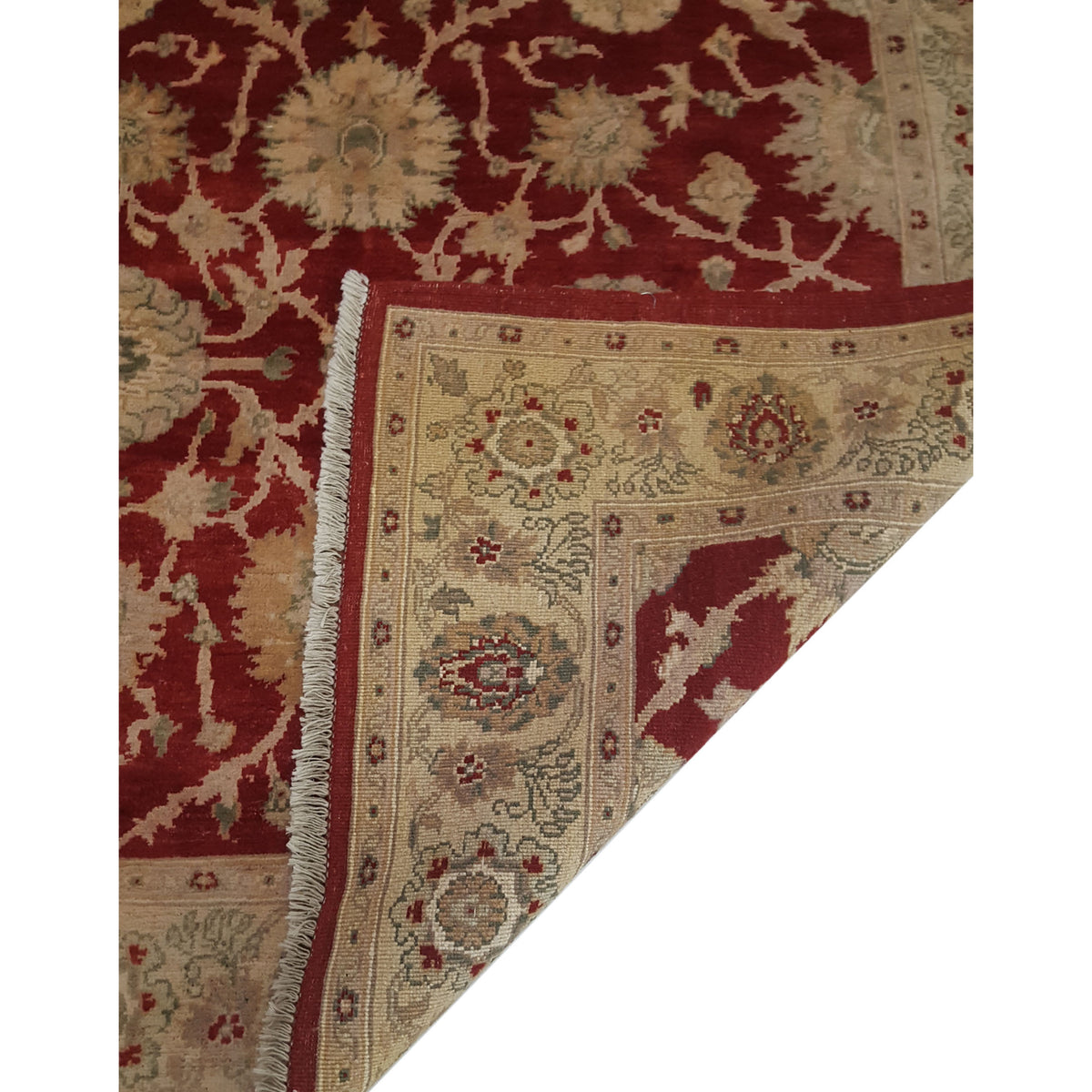 Pacific Ziegler 28090 Red Ivory Transitional Hand Knotted Rug