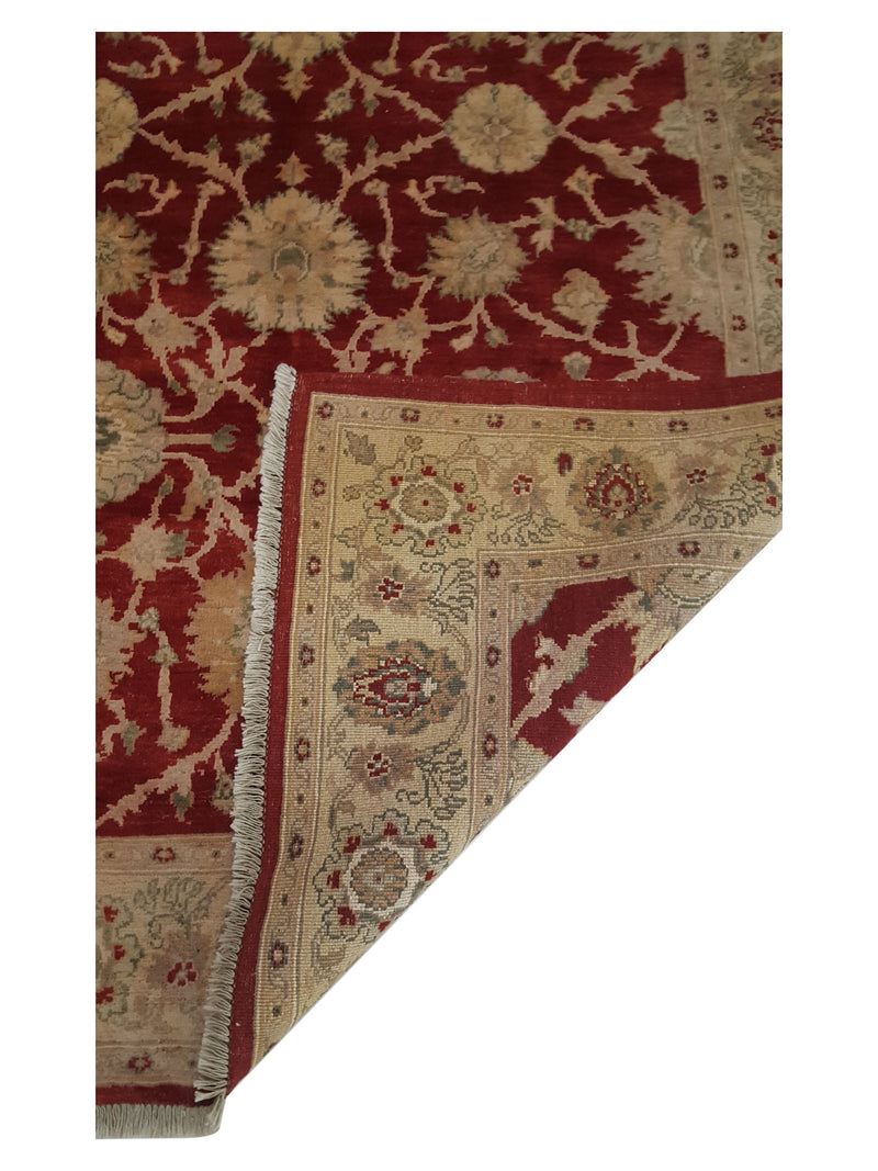 Pacific Ziegler 28090 Red Ivory Transitional Hand Knotted Rug