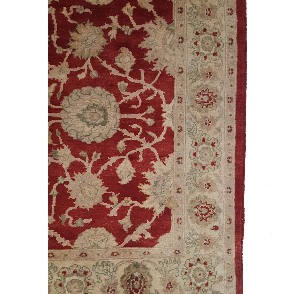 Pacific Ziegler 28090 Red Ivory Transitional Hand Knotted Rug