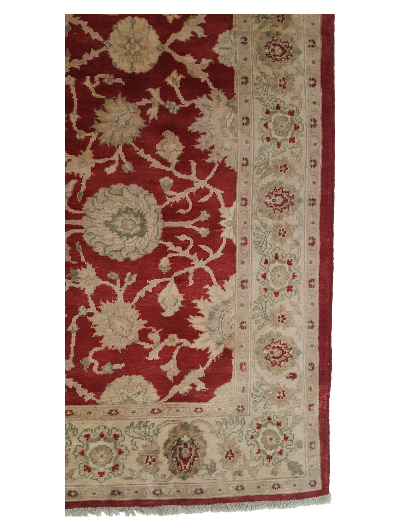 Pacific Ziegler 28090 Red Ivory Transitional Hand Knotted Rug