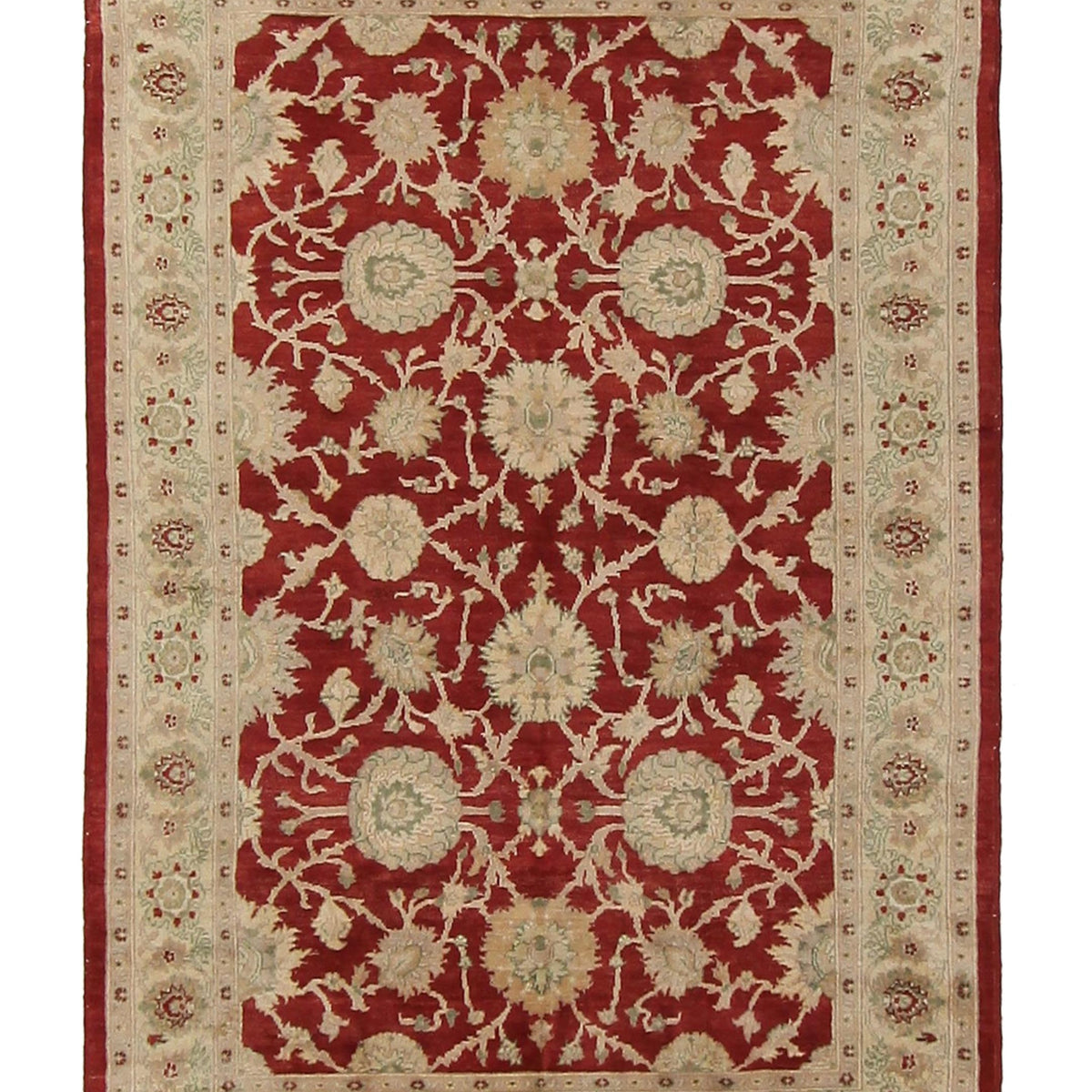 Pacific Ziegler  Red Ivory Transitional