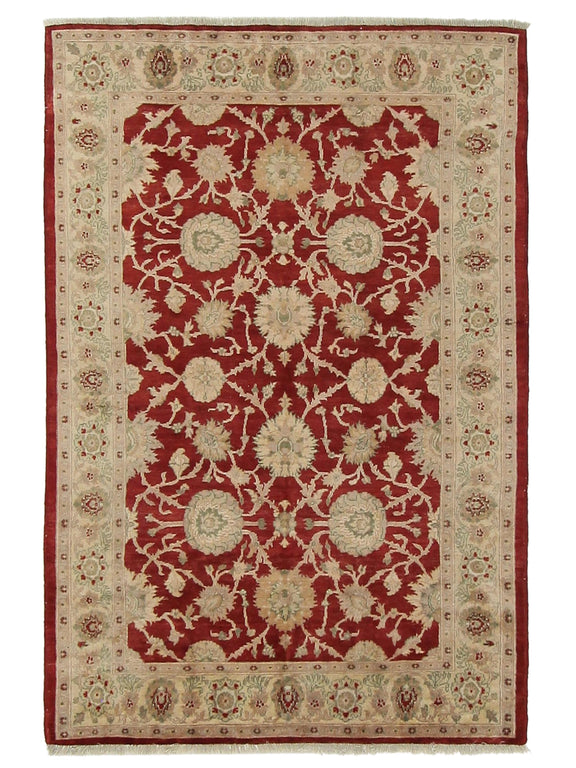 Pacific Ziegler  Red Ivory Transitional