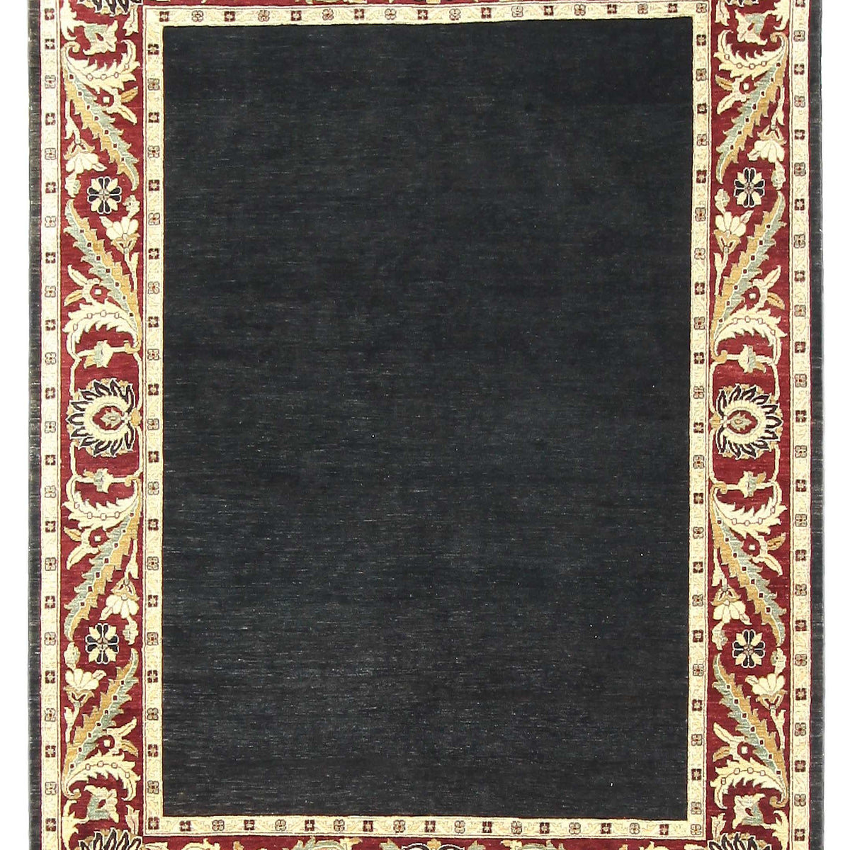 Pacific Ziegler  Black Red Transitional
