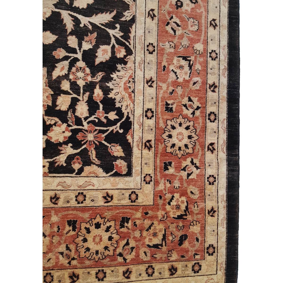 Pacific Ziegler 28803 Black Red Transitional Hand Knotted Rug