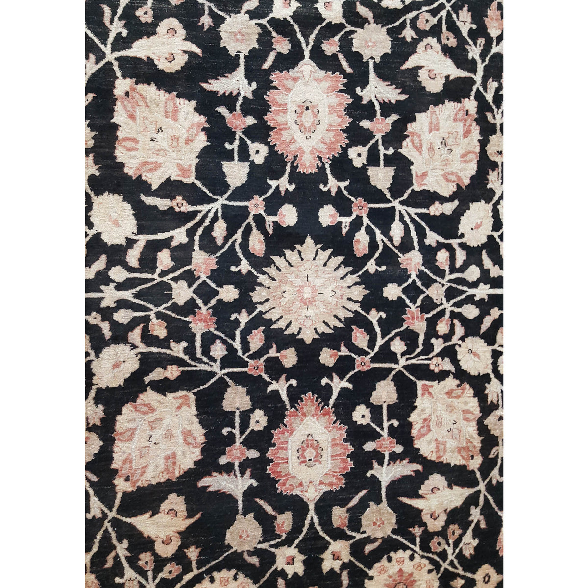 Pacific Ziegler 28803 Black Red Transitional Hand Knotted Rug