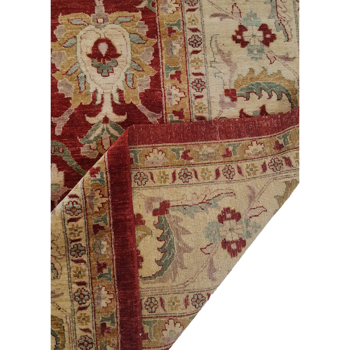Pacific Ziegler 28830 Red Ivory Transitional Hand Knotted Rug