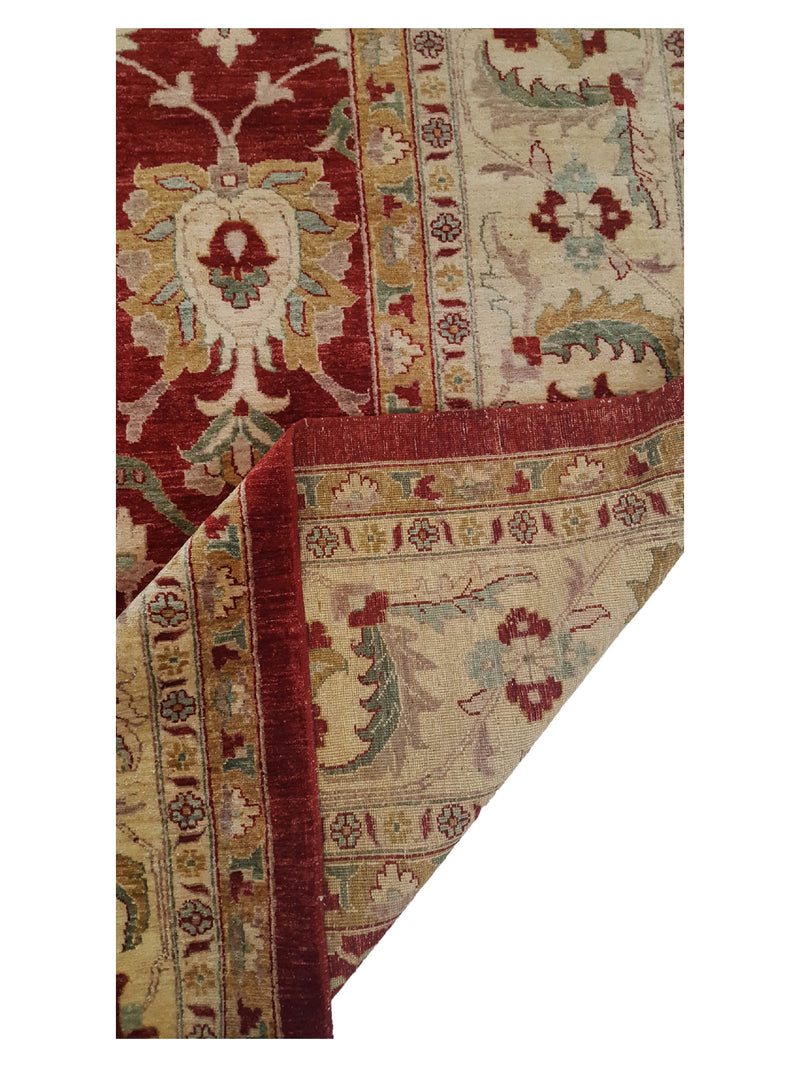 Pacific Ziegler 28830 Red Ivory Transitional Hand Knotted Rug