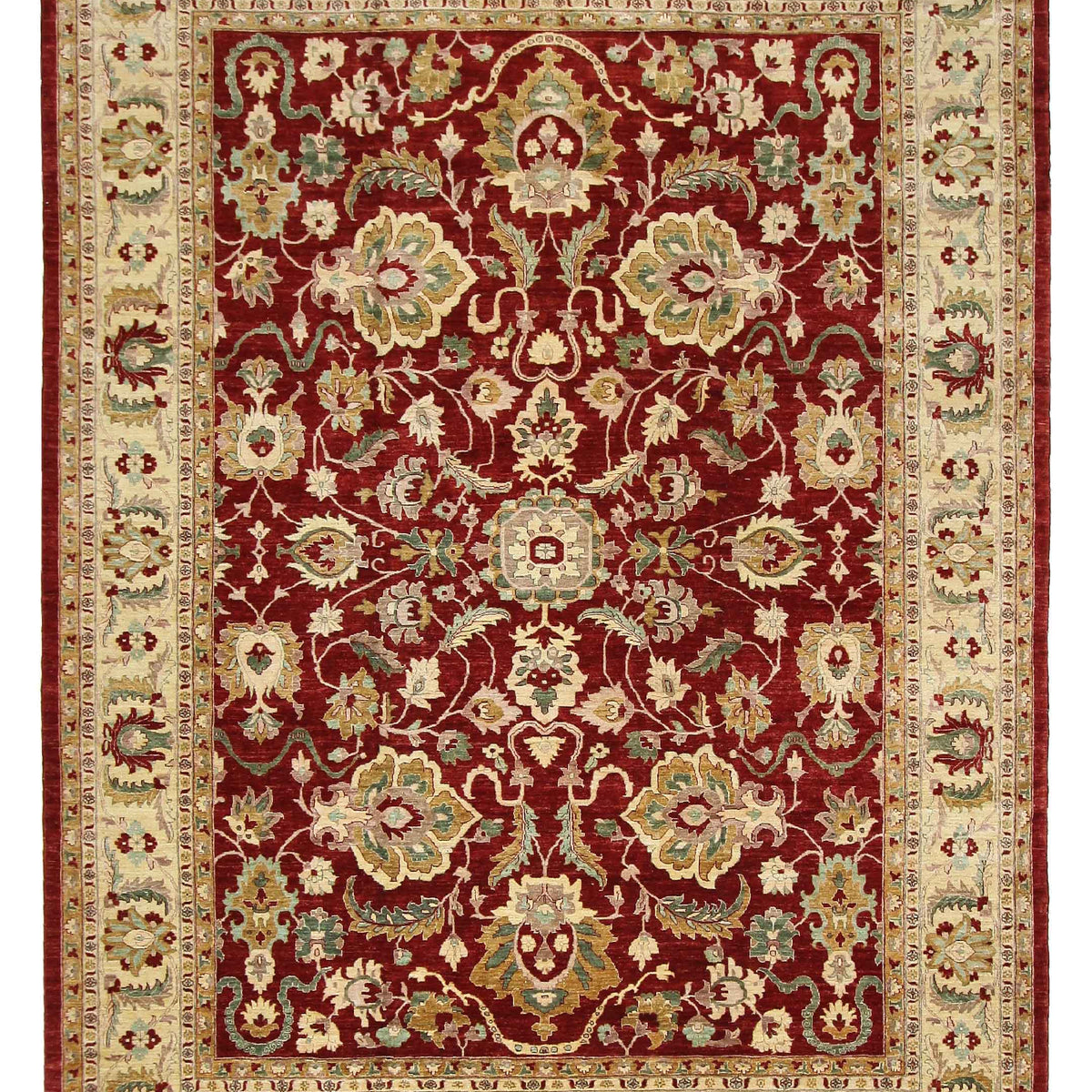 Pacific Ziegler  Red Ivory Transitional