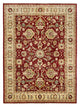 Pacific Ziegler  Red Ivory Transitional