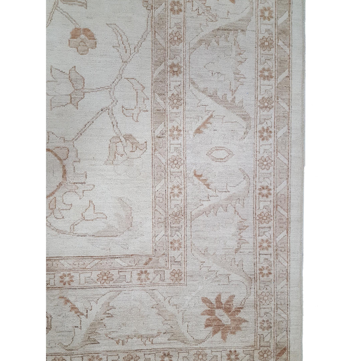 Pacific Ziegler 28850 Ivory Ivory Transitional Hand Knotted Rug