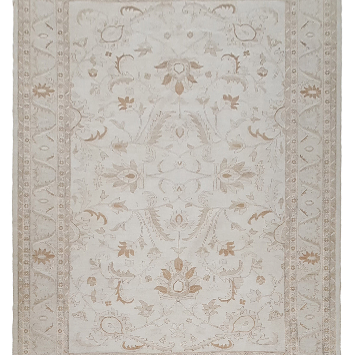 Pacific Ziegler  Ivory Ivory Transitional