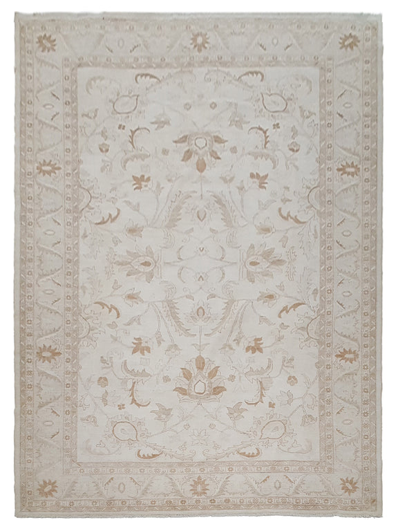 Pacific Ziegler  Ivory Ivory Transitional