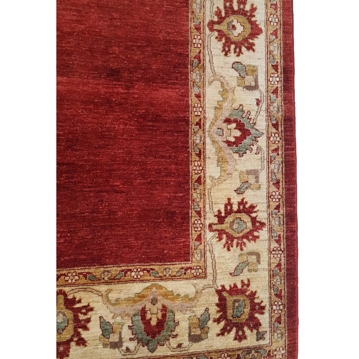 Pacific Ziegler 28876 Red Ivory Transitional Hand Knotted Rug
