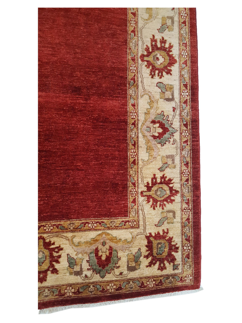 Pacific Ziegler 28876 Red Ivory Transitional Hand Knotted Rug