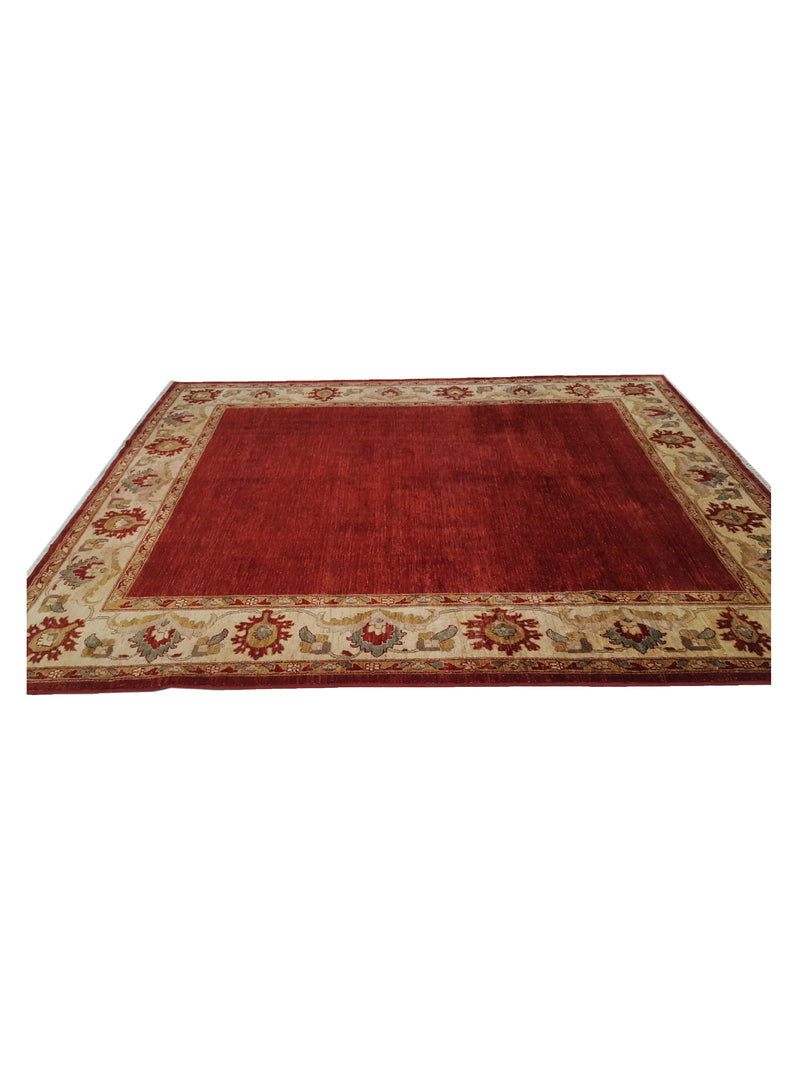Pacific Ziegler 28876 Red Ivory Transitional Hand Knotted Rug