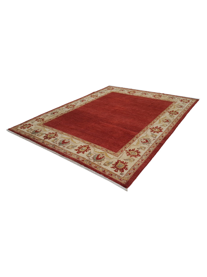 Pacific Ziegler 28876 Red Ivory Transitional Hand Knotted Rug