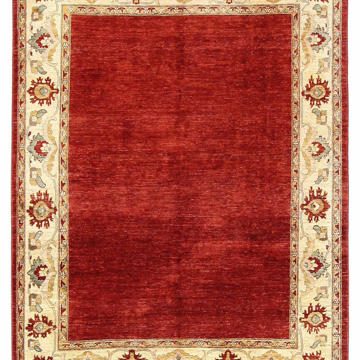 Pacific Ziegler  Red Ivory Transitional