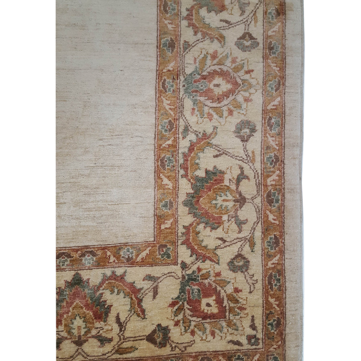 Pacific Ziegler 28954 Ivory Ivory Transitional Hand Knotted Rug