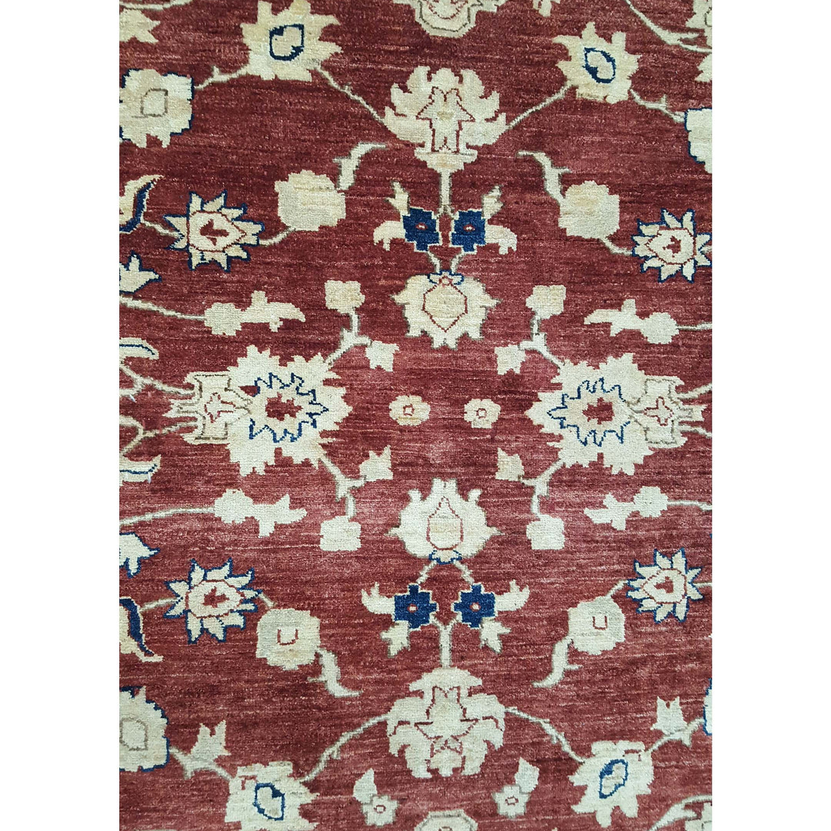 Pacific Ziegler 29043 Rust Blue Transitional Hand Knotted Rug