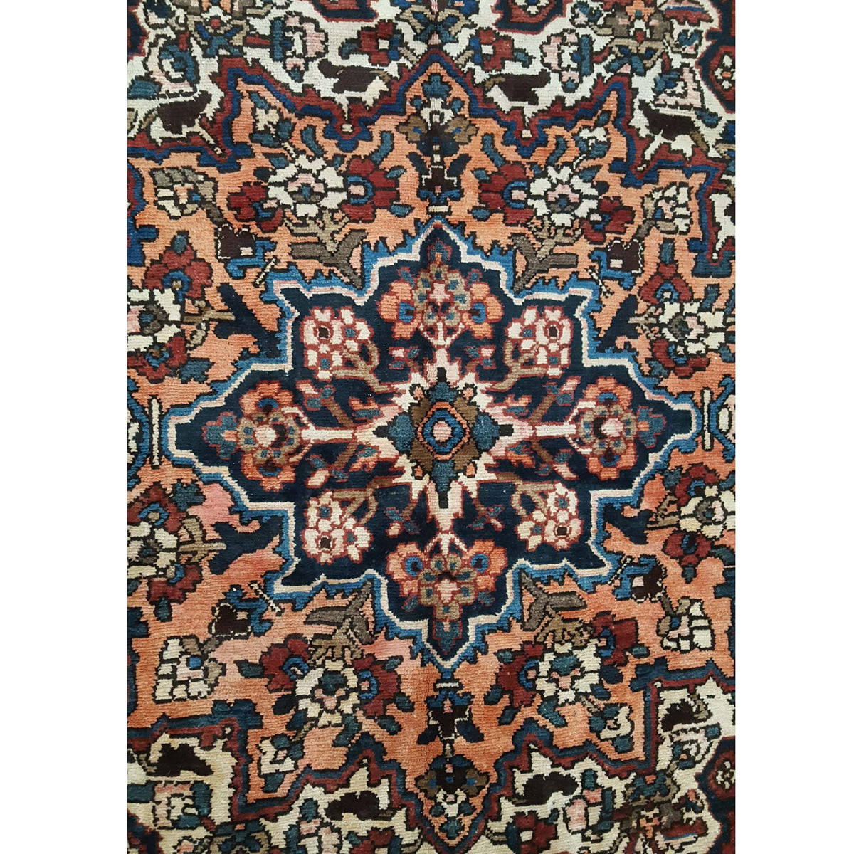 Pacific Bakhtiyari 29077 Red Ivory Traditional Hand Knotted Rug