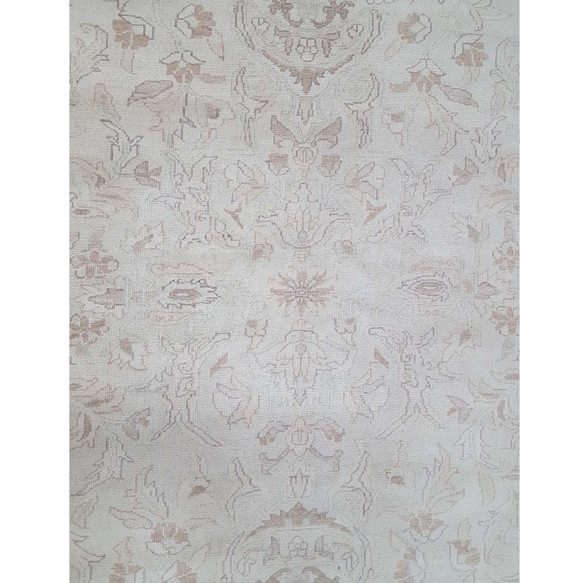 Pacific Ziegler 29411 Ivory Ivory Transitional Hand Knotted Rug