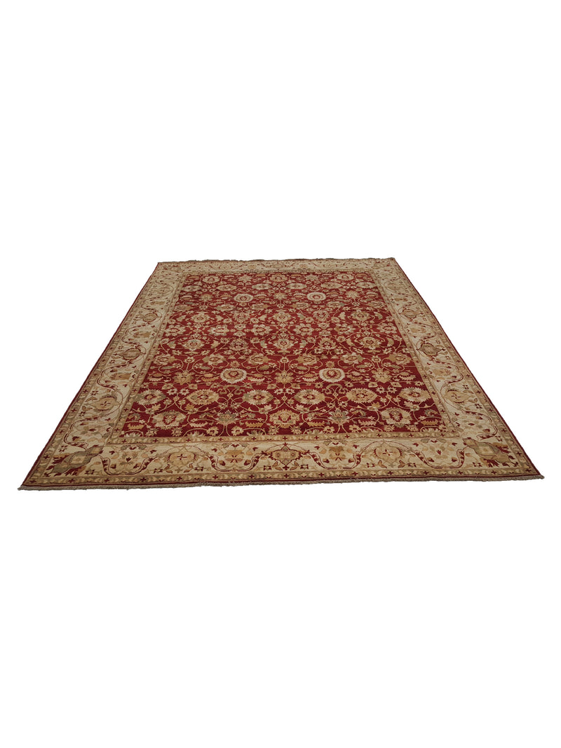 Pacific Ziegler 32284 Red Ivory Transitional Hand Knotted Rug