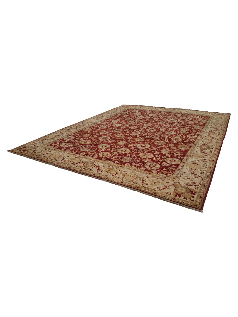 Pacific Ziegler 32284 Red Ivory Transitional Hand Knotted Rug