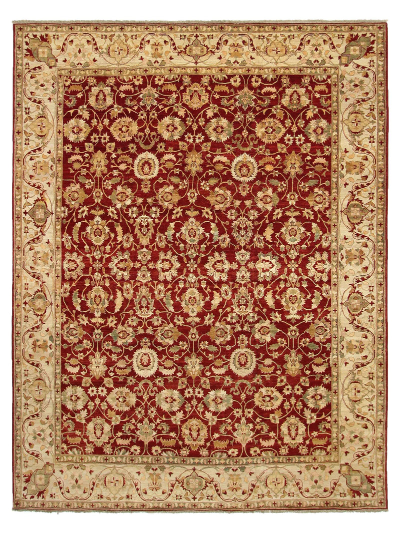 Pacific Ziegler  Red Ivory Transitional