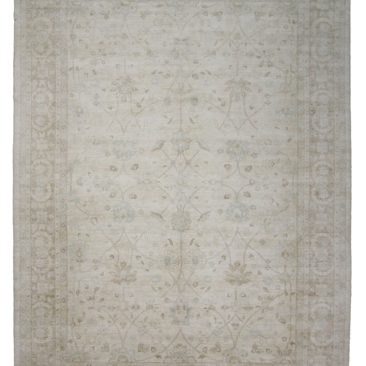 Pacific Ziegler  Ivory Ivory Transitional