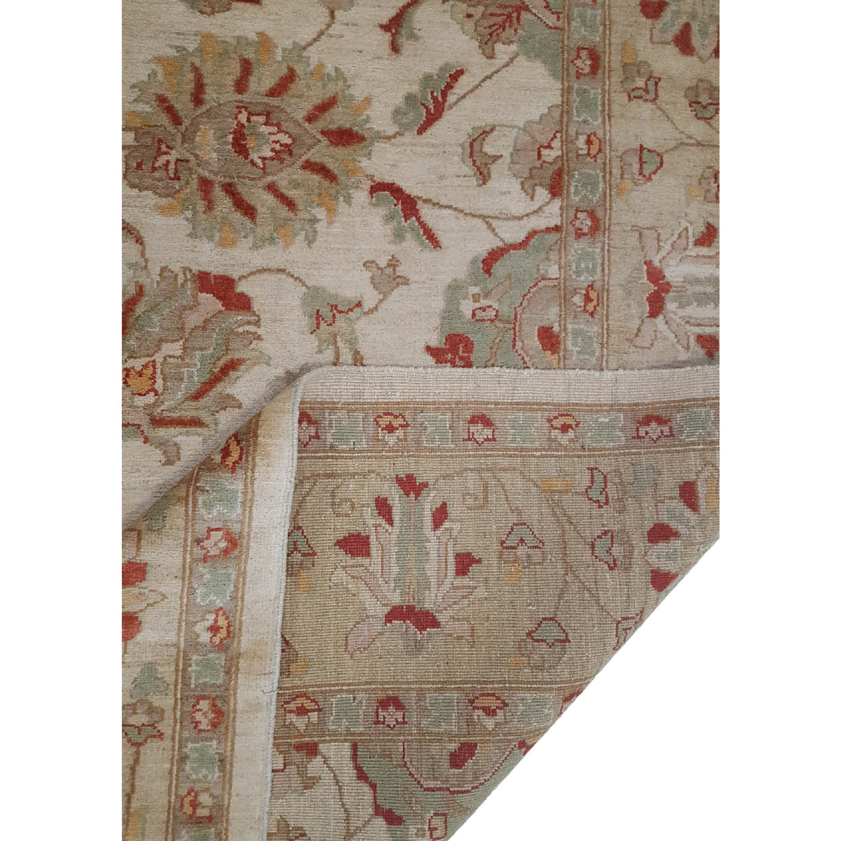 Pacific Ziegler 32353 Ivory Gold Transitional Hand Knotted Rug